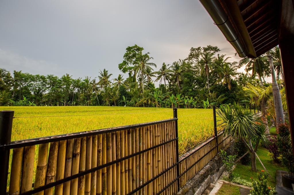 Maluhia Haven Villa Ubud  Bagian luar foto