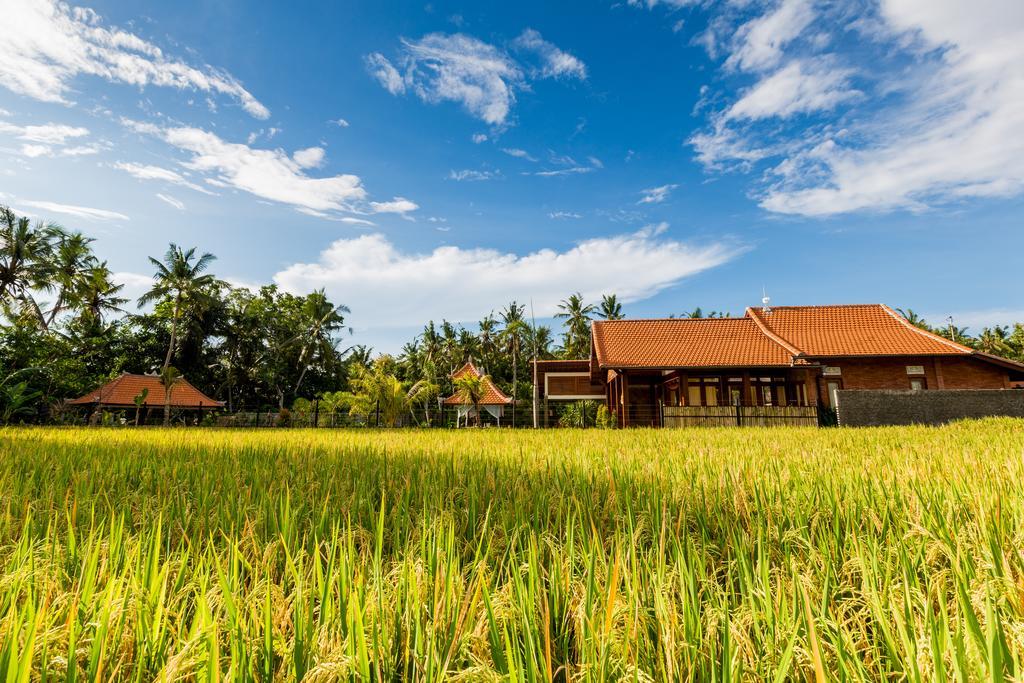 Maluhia Haven Villa Ubud  Bagian luar foto